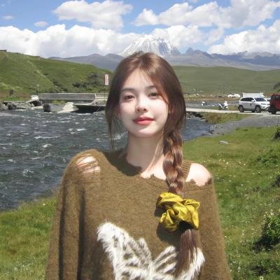 少年女仆